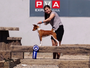 06.05.18 IDS in Prague