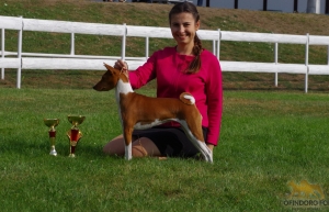 26.08.18 International Show in Mlada Boleslav (CZ)