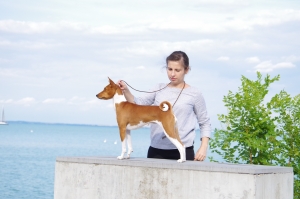 12-14.07.19 Austria-Hungary