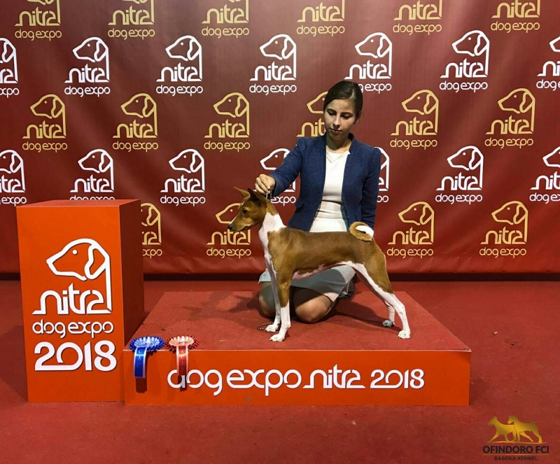 08-10.06.18 3x CACIB Nitra